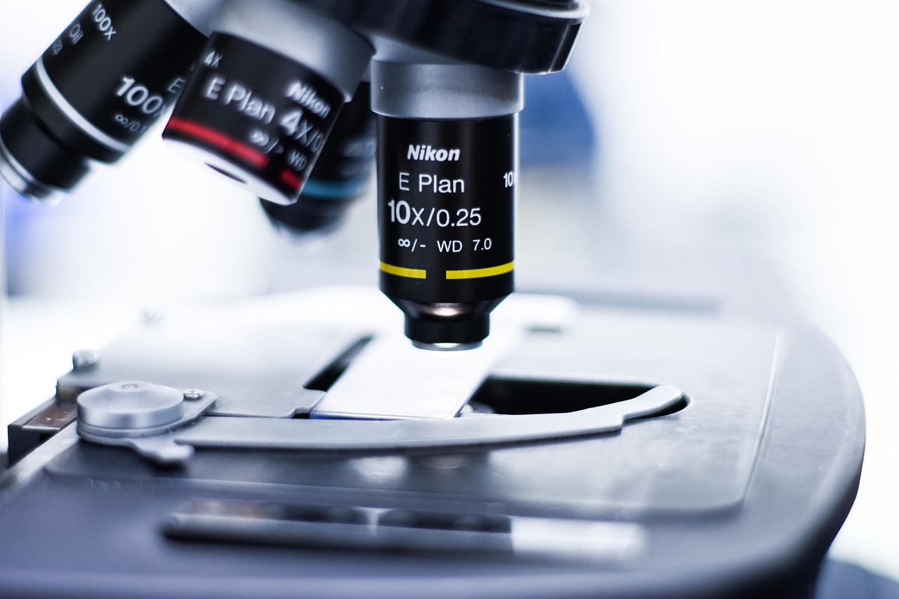 如何进行外部链接优化