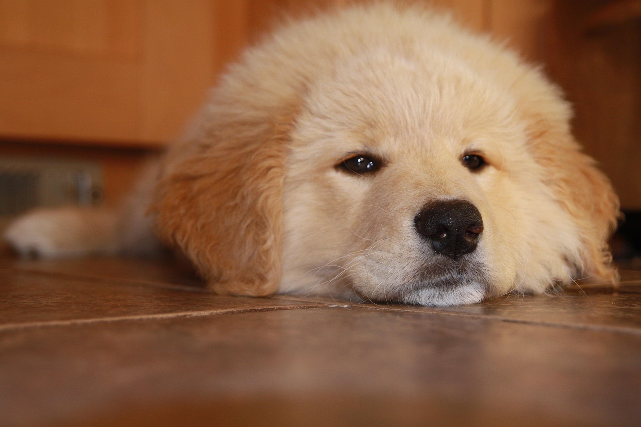 微信老号买卖：杭州机床购买平台