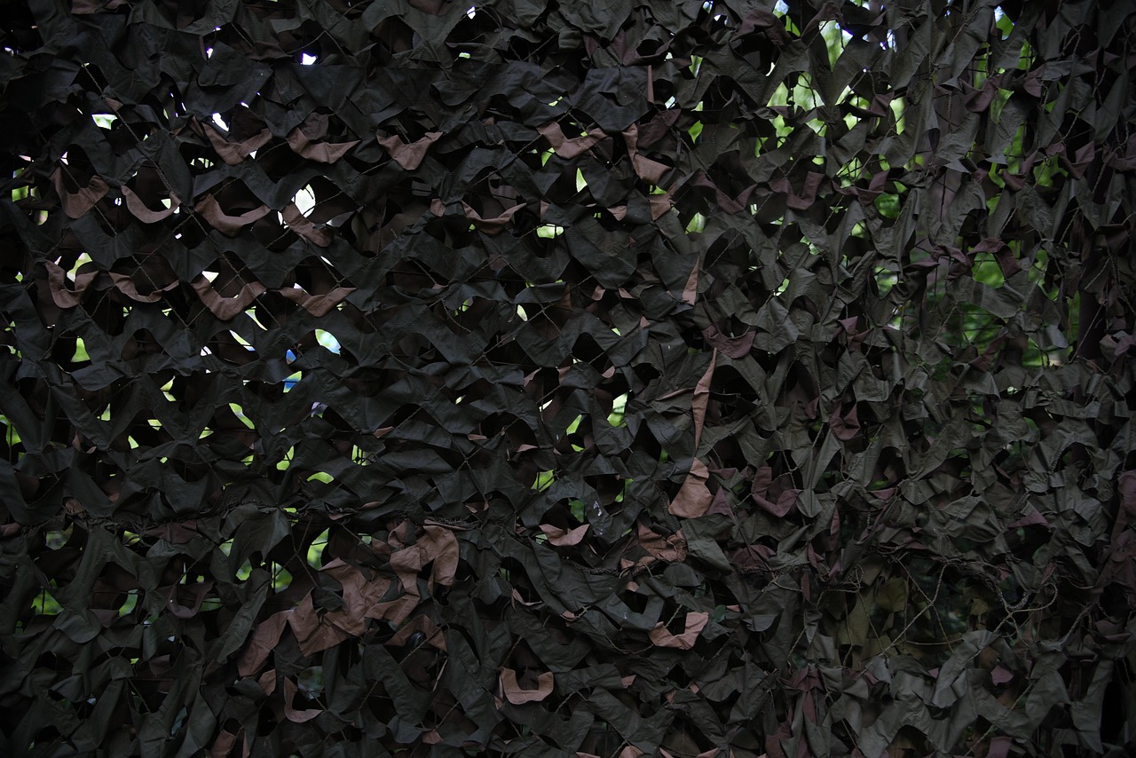 豪利时蓝莓爆珠:江门台山代理注册公司