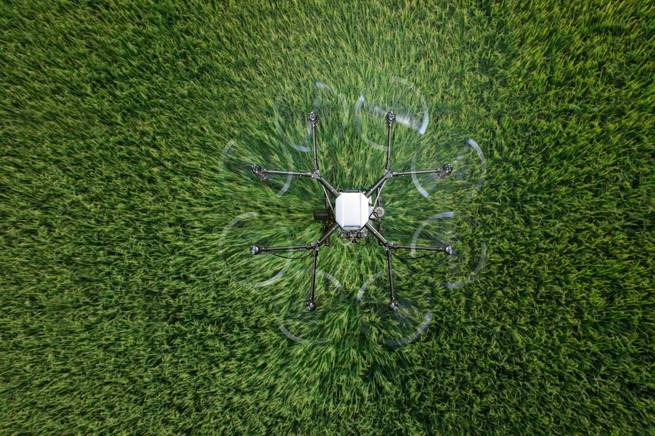 炸房器|电银代理平台叫啥