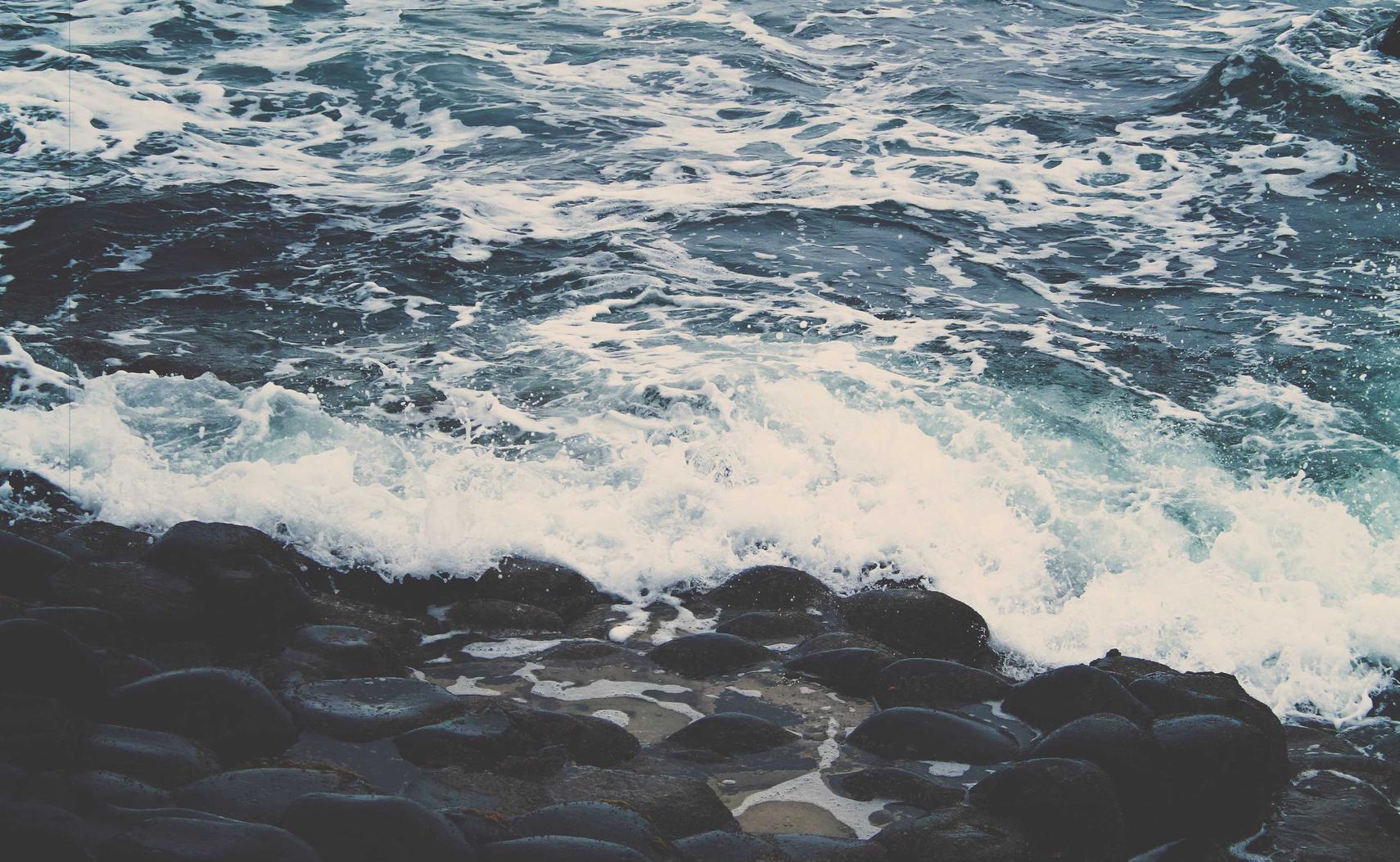 黄金叶100天叶：嗨讯通app详情下载教程