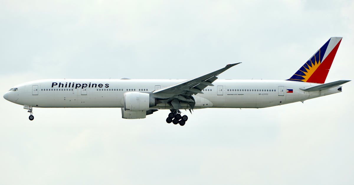 安信11饼干进口报关代理平台排名