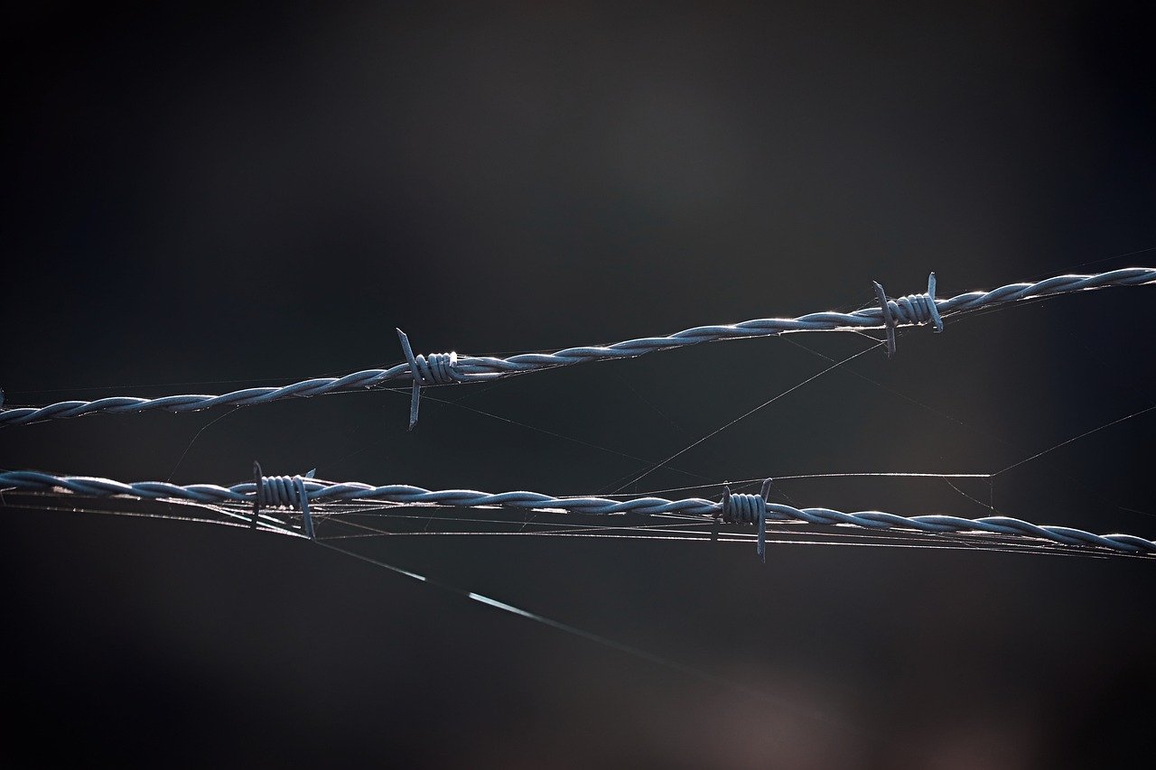 雾森：招代理App平台