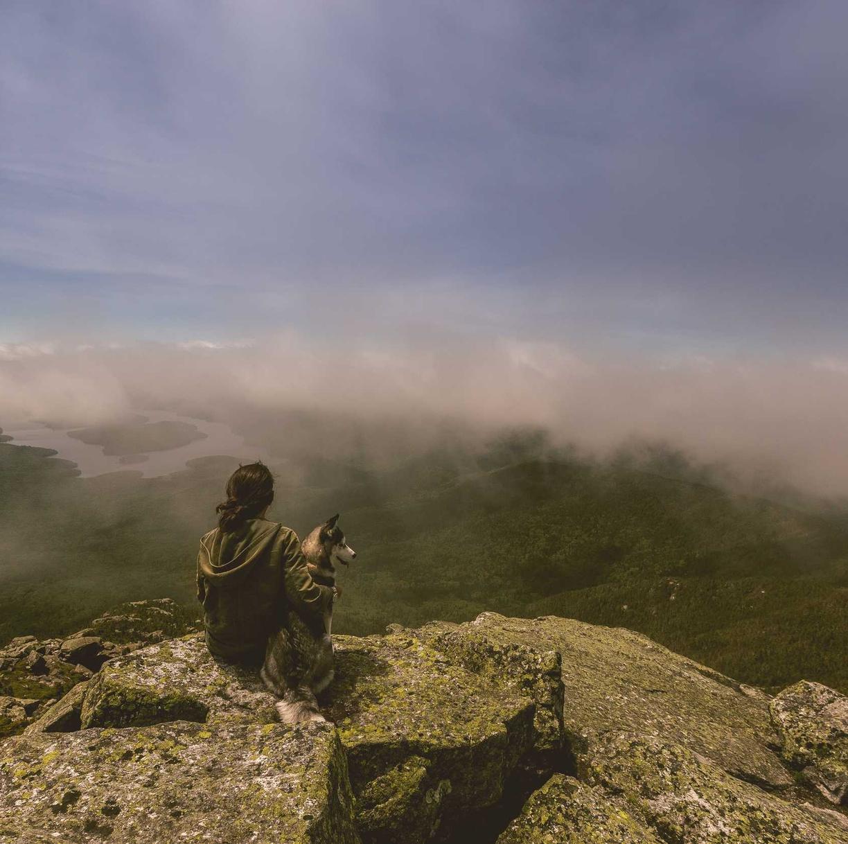 极光实名账号：西檬之家app怎么详情下载教程