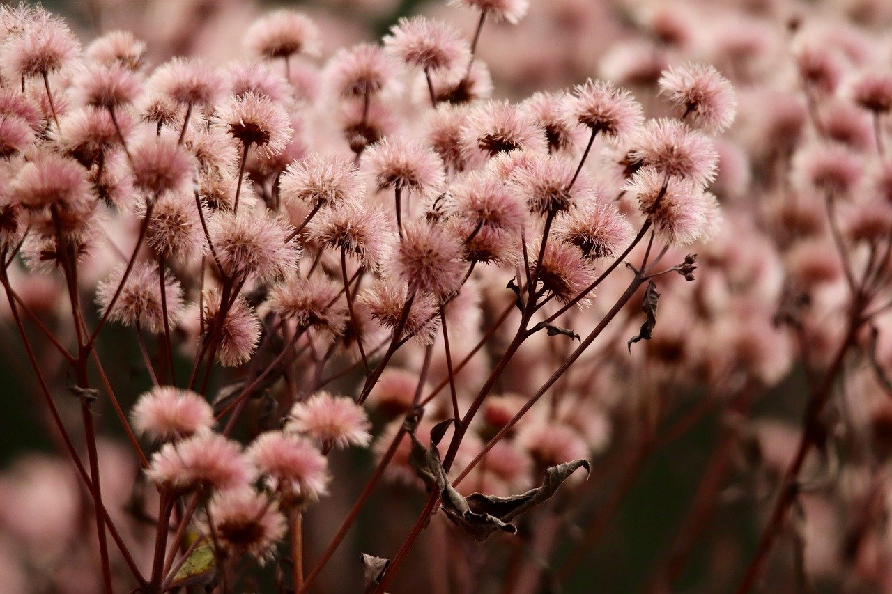 云平台代理协议